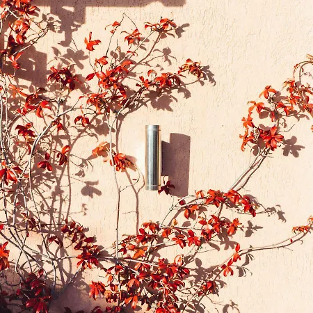 Flower Riviera Holidayhouse * Bordighera